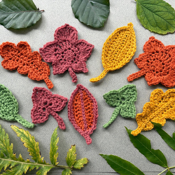 Next Steps Crochet: Autumn Bunting - Friday 17th October 2025 10am - 1pm