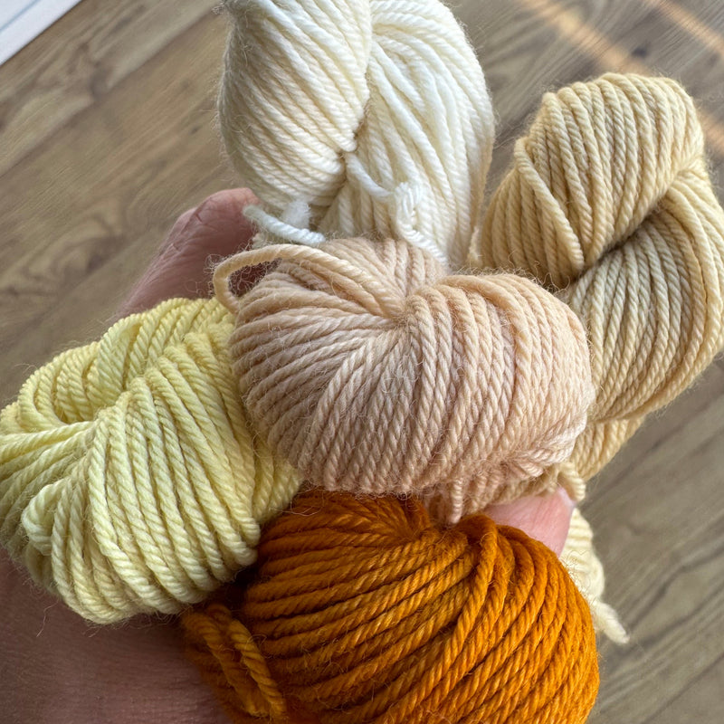 Hand holding five skeins of yarn in various colours.