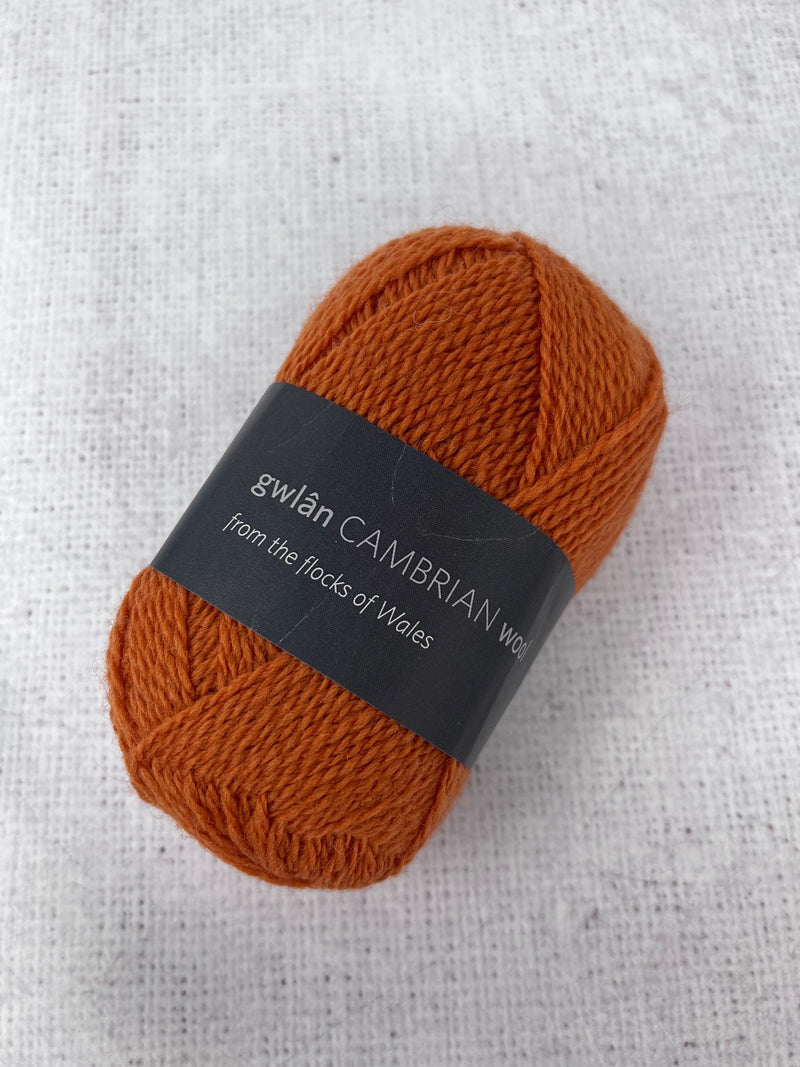 Cambrian Wool 4-ply 100% Welsh Mule British Wool Yarn