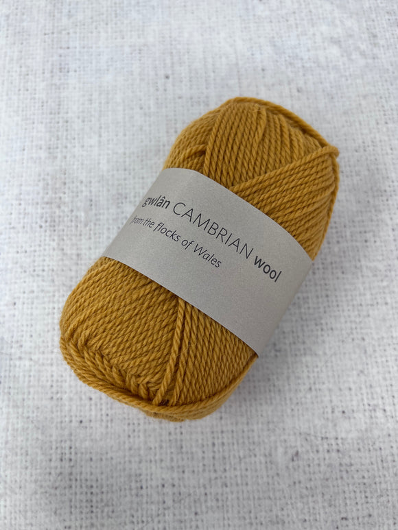 Cambrian Wool DK (Double Knit) 100% Welsh Mule British Wool Yarn