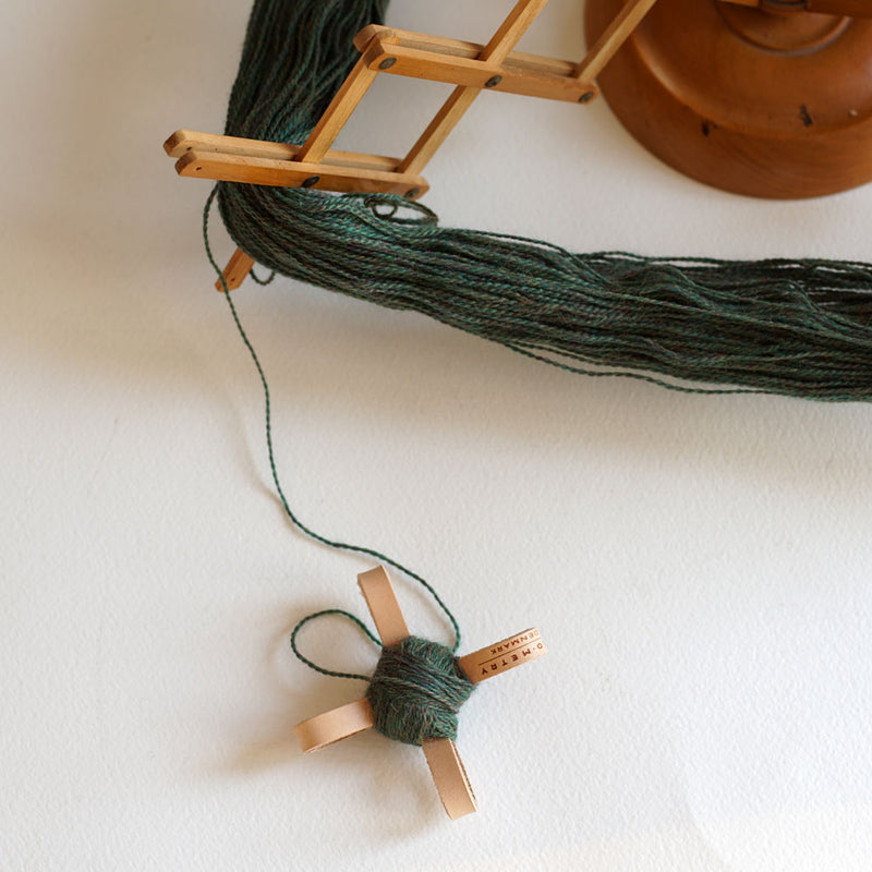 Geo-Metry Yarn Turtle